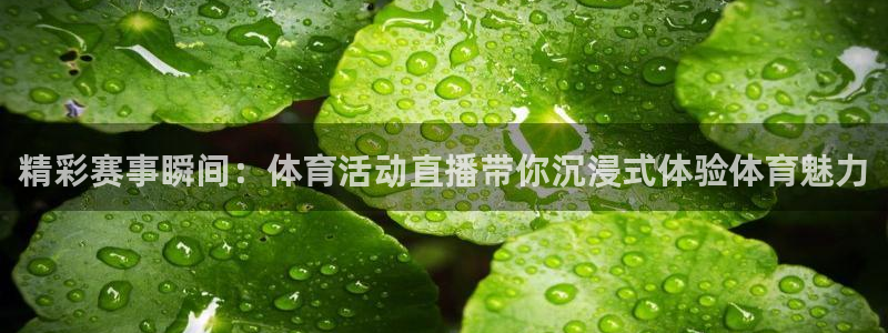 东升国际app下载入口：精彩赛事瞬间：体育活动直播带你沉浸式体验体育魅力