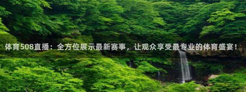 东升国际旅行社：体育508直播：全方位展示最新赛事，让观众享受最专业的体育盛宴！
