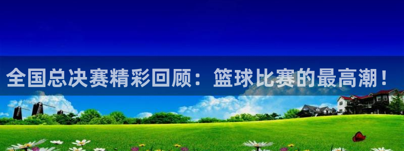 东升国际app下载入口：全国总决赛精彩回顾：篮球比赛的最高潮！