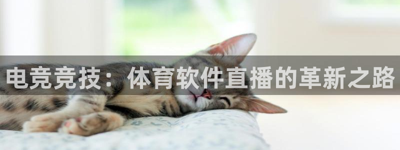 东升国际：电竞竞技：体育软件直播的革新之路