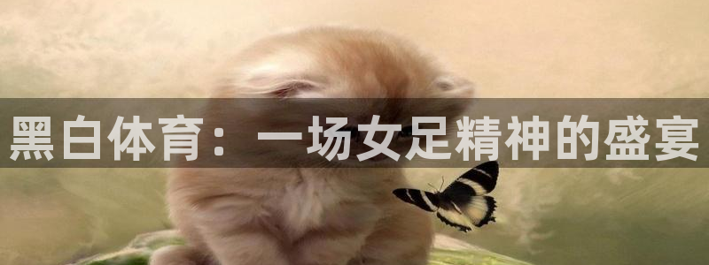 东升国际在线登录：黑白体育：一场女足精神的盛宴