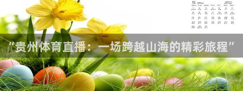 东升国际版：“贵州体育直播：一场跨越山海的精彩旅程”
