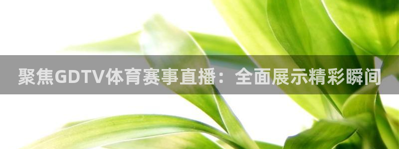 东升国际app：聚焦GDTV体育赛事直播：全面展示精彩瞬间