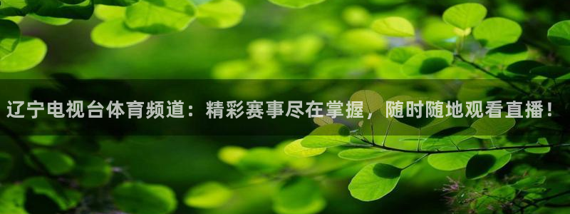 东升国际平台app官网：辽宁电视台体育频道：精彩赛事尽在掌握，随时随地观看直播！