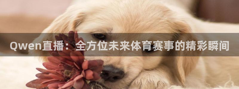 东升国际app官网版下载：Qwen直播：全方位未来体育赛事的精彩瞬间